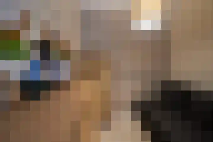 Trumanlaan 54 A Utrecht thumbnail 18