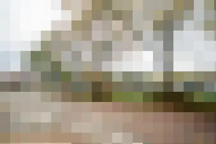 Trumanlaan 54 A Utrecht thumbnail 26