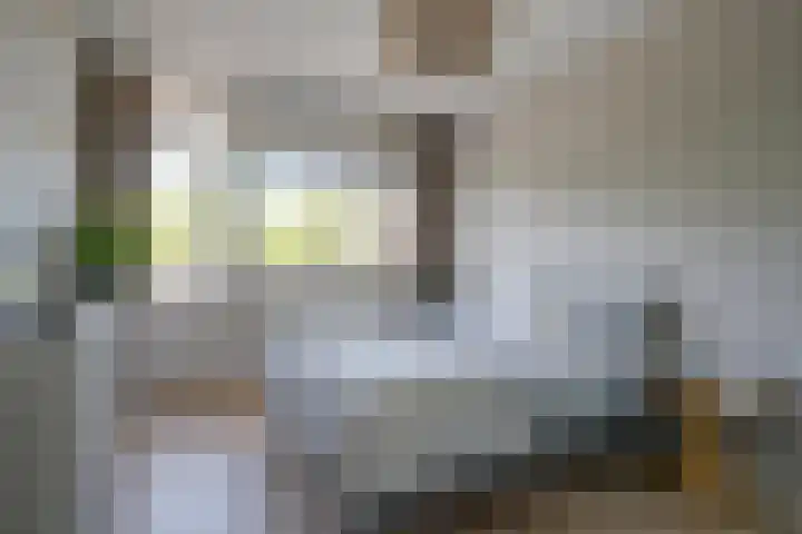 Trumanlaan 54 B Utrecht thumbnail 24