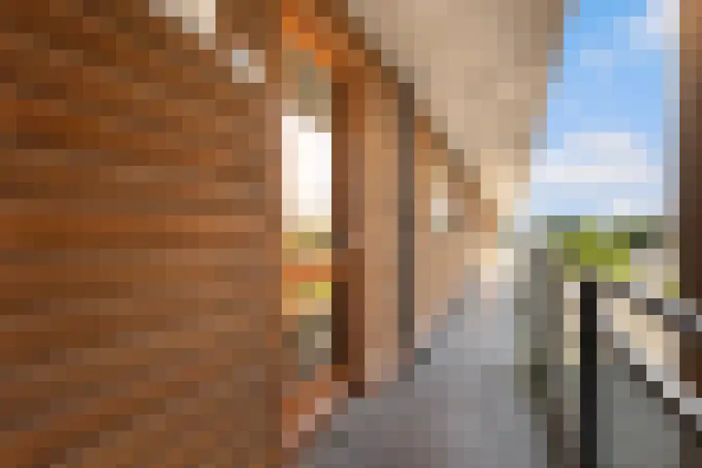 Trumanlaan 56 C Utrecht thumbnail 6