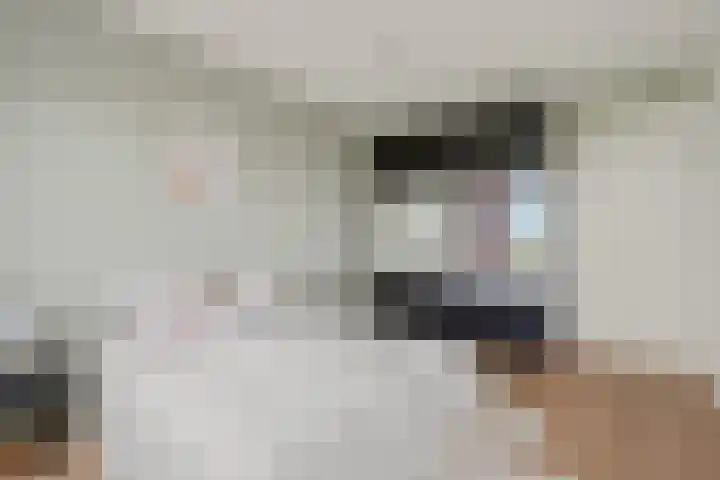 Trumanlaan 58 Utrecht thumbnail 22