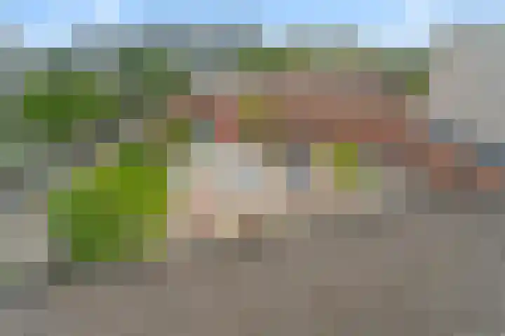 Trumanlaan 58 Utrecht thumbnail 29