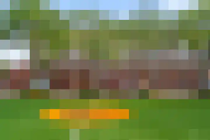 Trumanlaan 58 Utrecht thumbnail 33