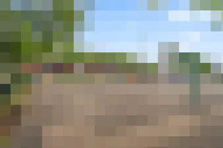 Trumanlaan 58 Utrecht thumbnail 35