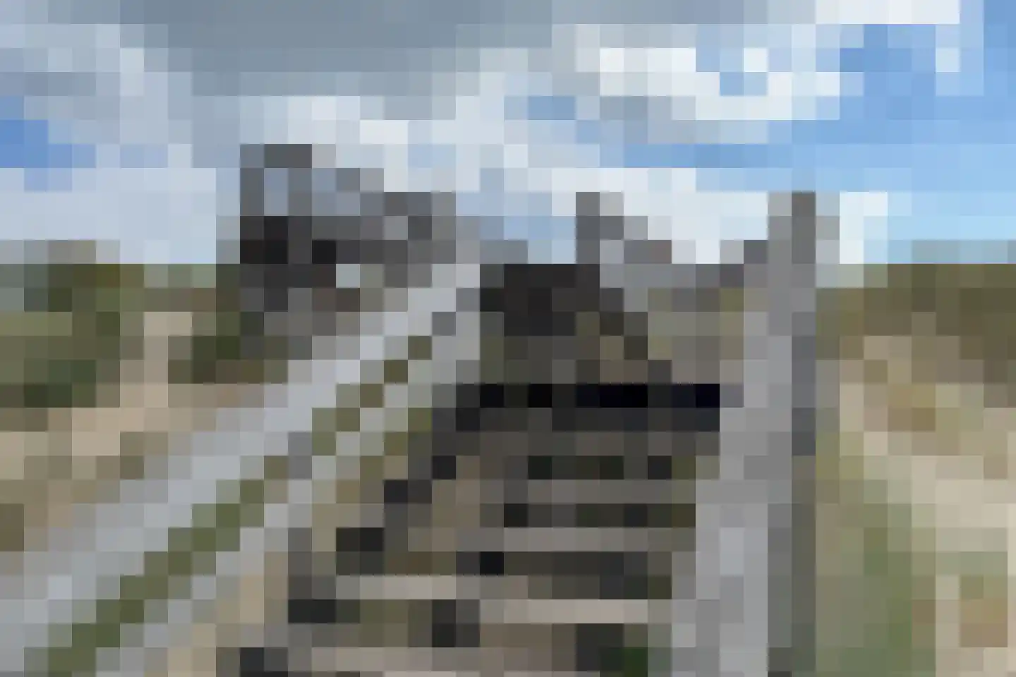 Trumanplein 7 Egmond aan Zee thumbnail 103
