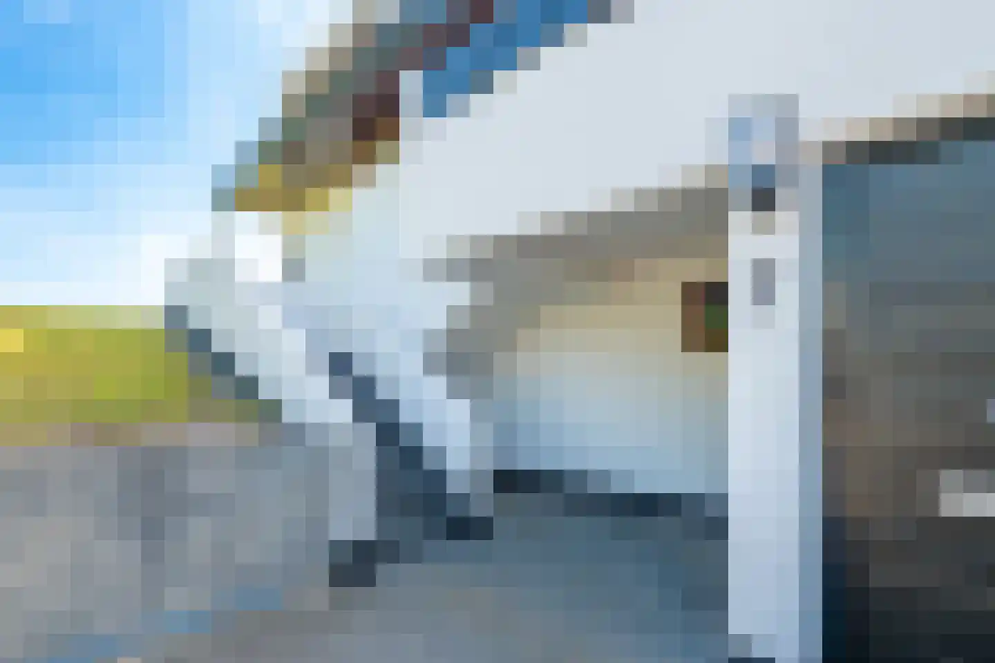 Trumanplein 7 Egmond aan Zee thumbnail 11