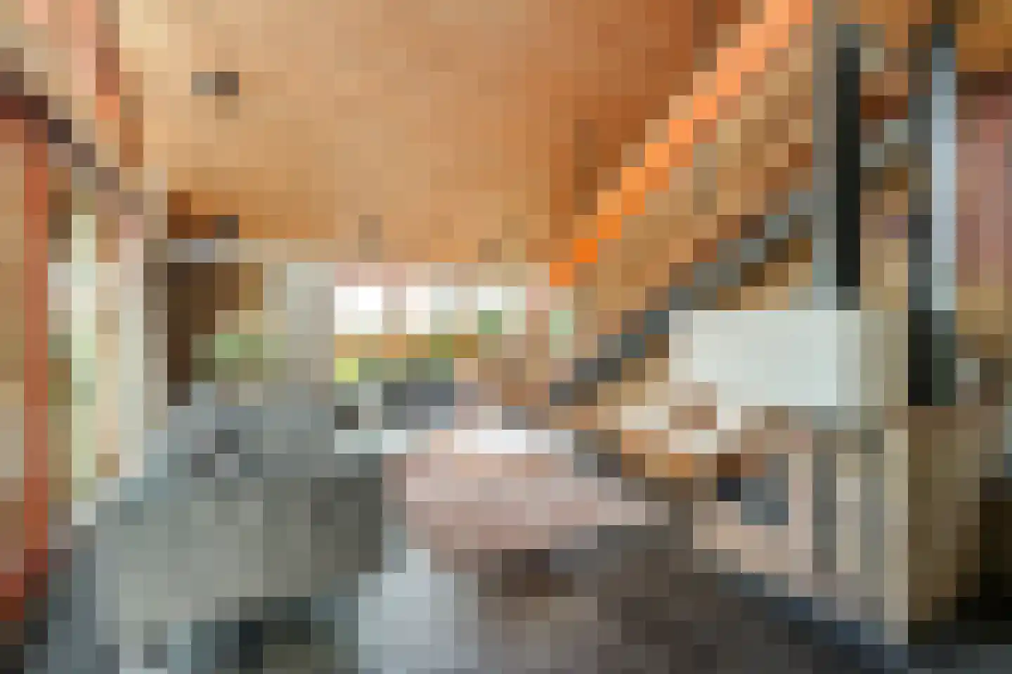 Trumanplein 7 Egmond aan Zee thumbnail 18