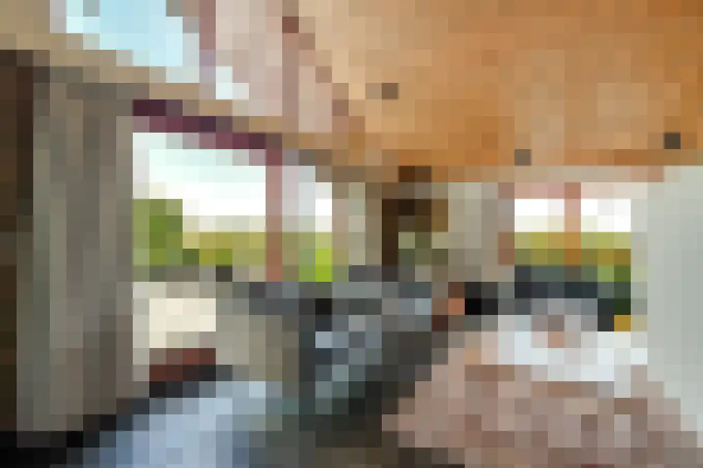 Trumanplein 7 Egmond aan Zee thumbnail 19