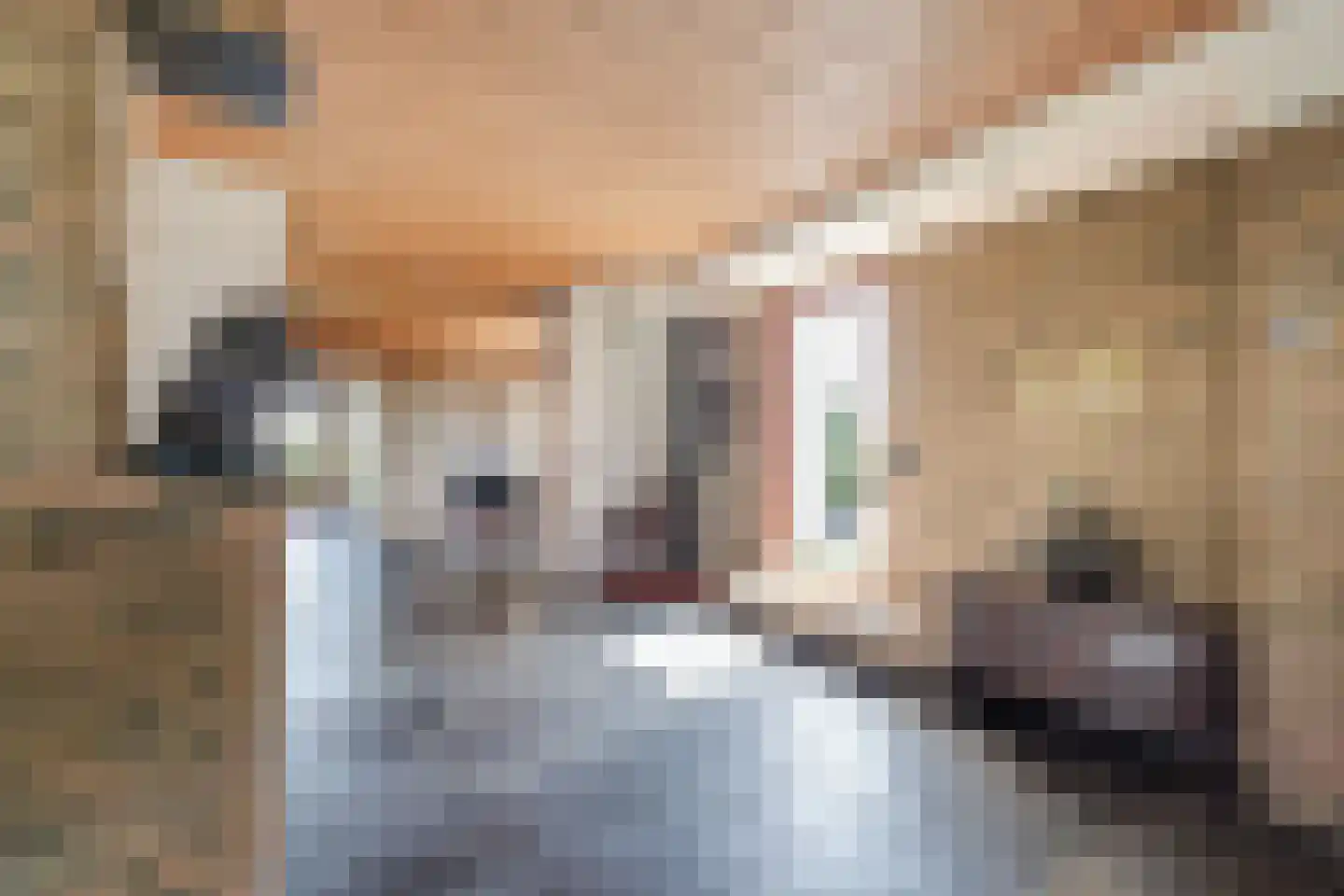 Trumanplein 7 Egmond aan Zee thumbnail 54