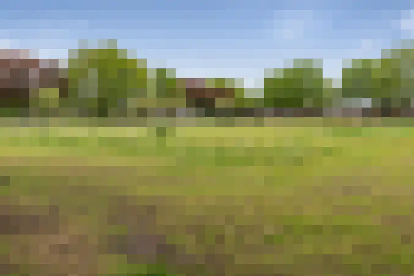 Trumanstraat 21 Veenoord thumbnail 40