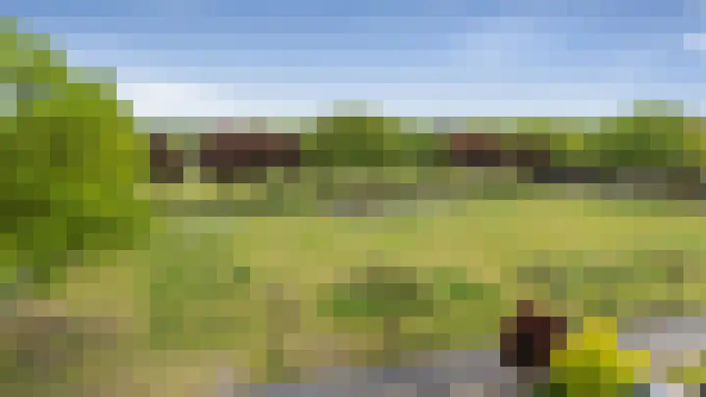 Trumanstraat 21 Veenoord thumbnail 6