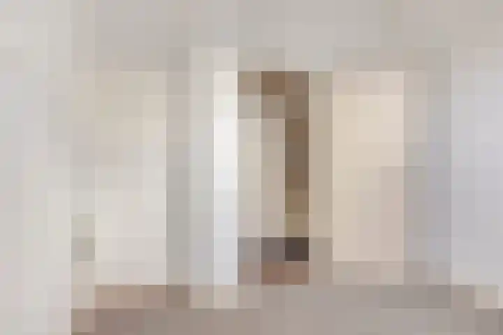 Trumanstraat 54 Veenoord thumbnail 30