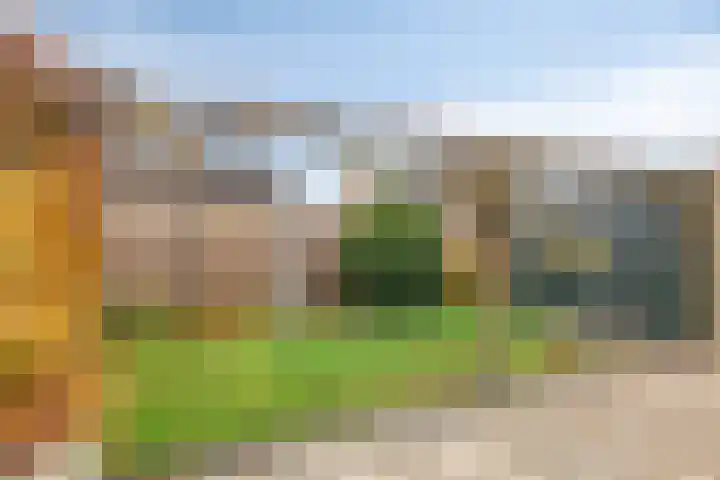 Trumanstraat 54 Veenoord thumbnail 34