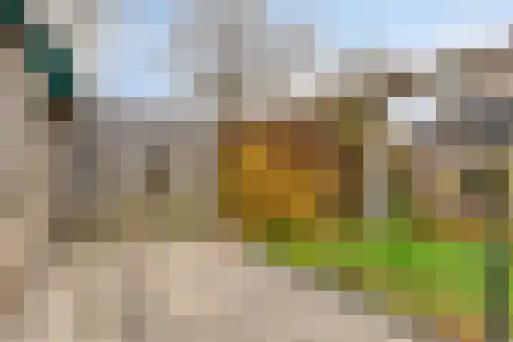 Trumanstraat 54 Veenoord thumbnail 35