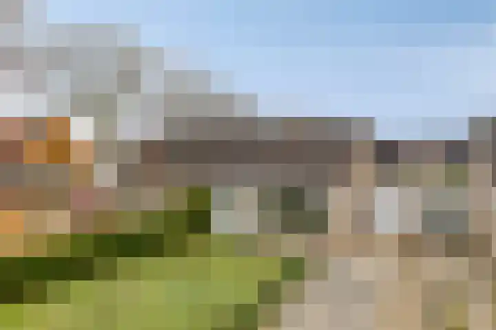 Trumanstraat 54 Veenoord thumbnail 6