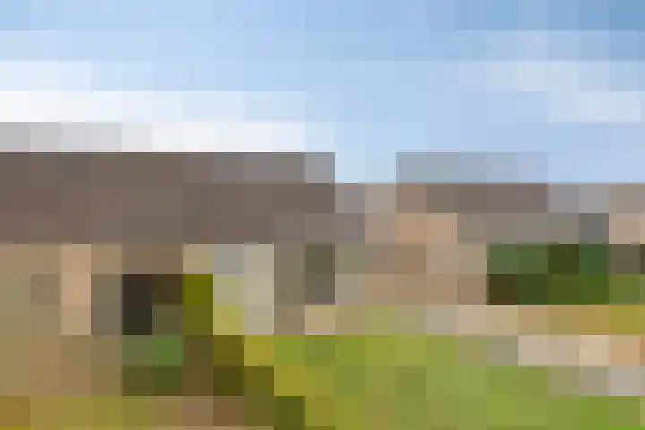 Trumanstraat 54 Veenoord thumbnail 8
