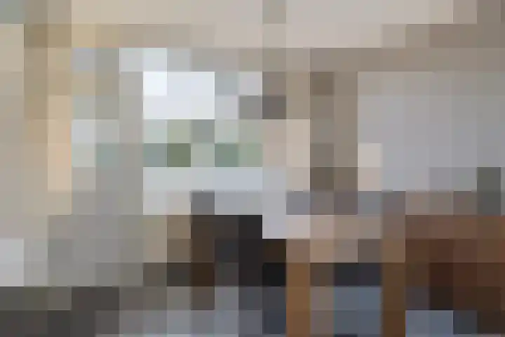 Trumanstraat 59 Veenoord thumbnail 12