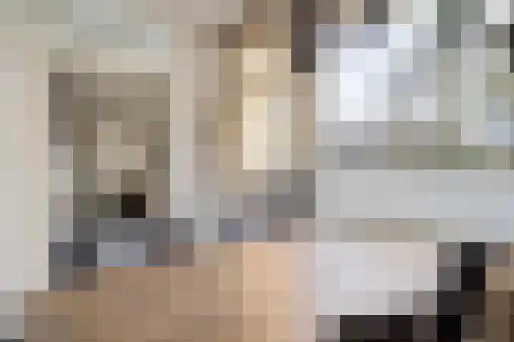 Trumanstraat 59 Veenoord thumbnail 13