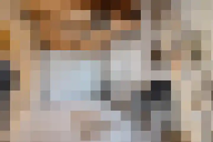 Trumanstraat 59 Veenoord thumbnail 25