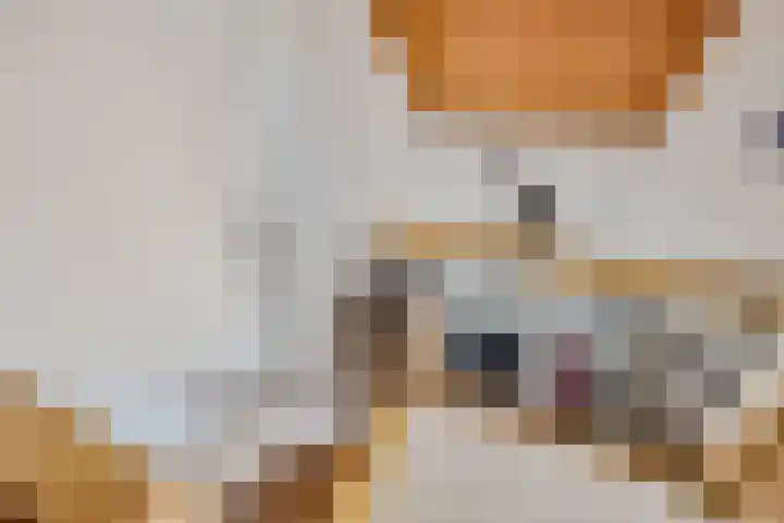 Trumanstraat 59 Veenoord thumbnail 27