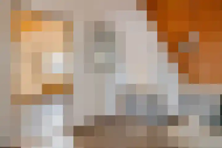Trumanstraat 59 Veenoord thumbnail 33