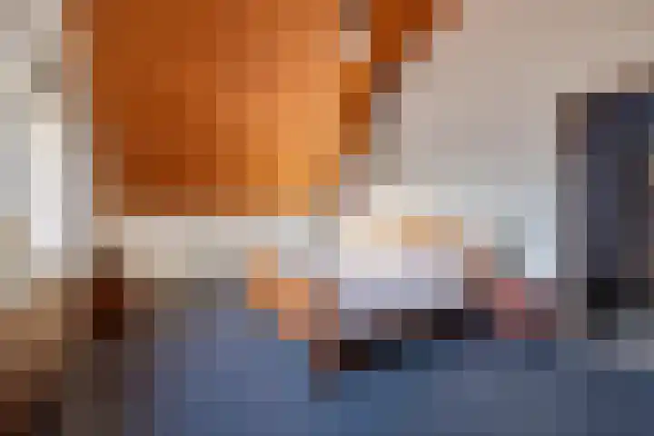 Trumanstraat 59 Veenoord thumbnail 34