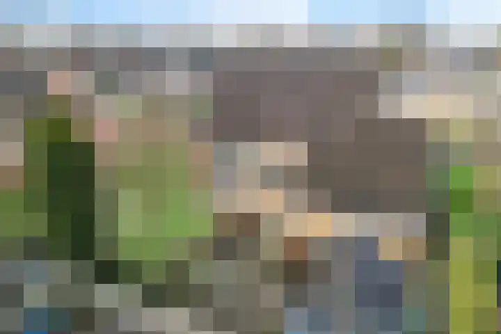 Trumanstraat 59 Veenoord thumbnail 38