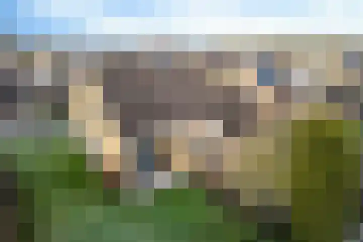 Trumanstraat 59 Veenoord thumbnail 39