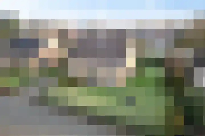 Trumanstraat 59 Veenoord thumbnail 4