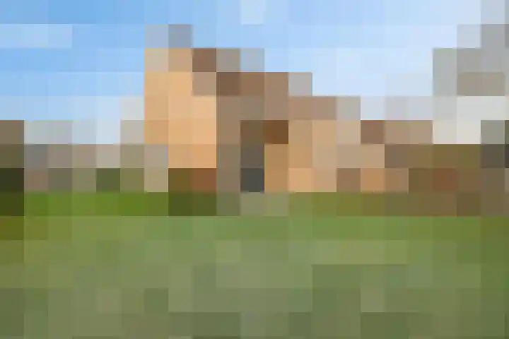 Trumanstraat 59 Veenoord thumbnail 40