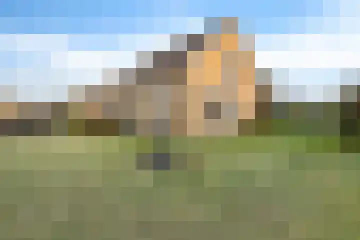 Trumanstraat 59 Veenoord thumbnail 41