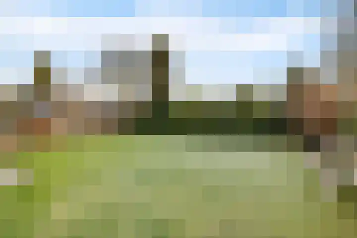 Trumanstraat 59 Veenoord thumbnail 42