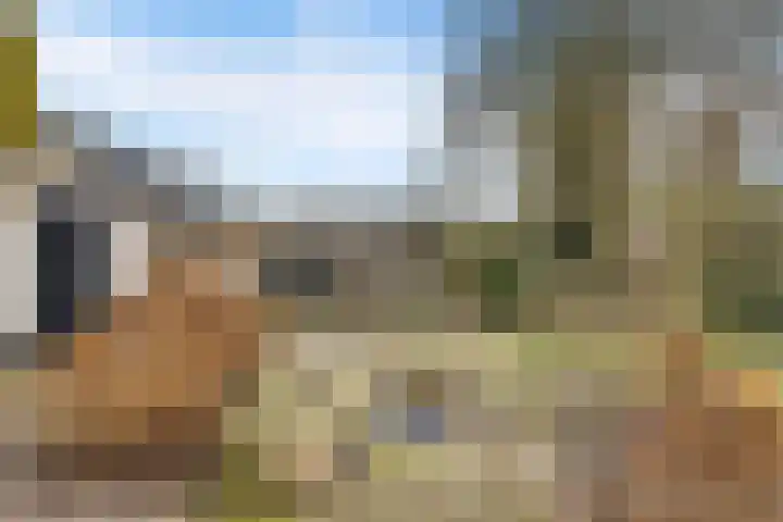 Trumanstraat 59 Veenoord thumbnail 43