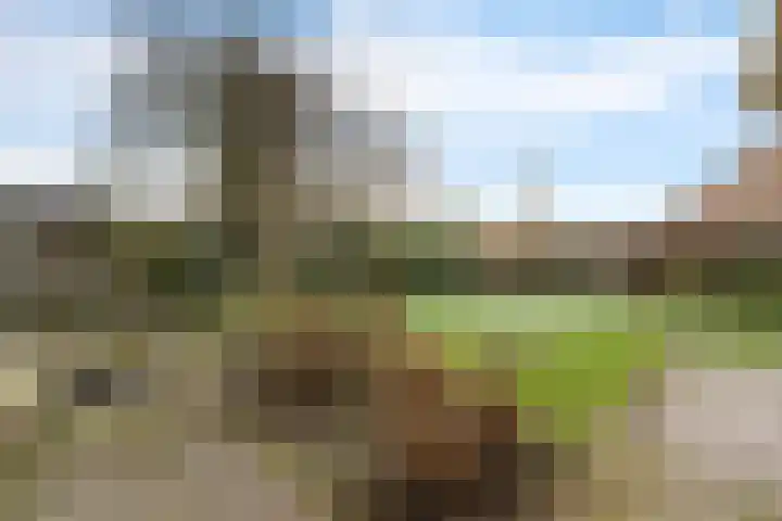 Trumanstraat 59 Veenoord thumbnail 44