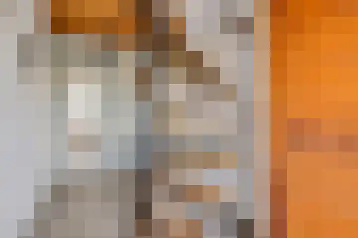 Trumanstraat 59 Veenoord thumbnail 5