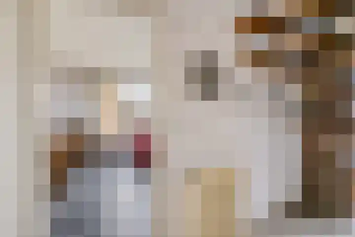 Trumanstraat 59 Veenoord thumbnail 6