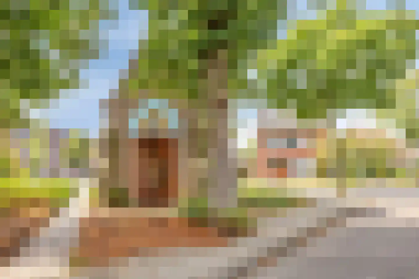 Truppertstraat 2 Weert thumbnail 55