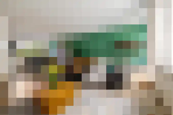 Truus Schröderhof 11 Voorburg thumbnail 17