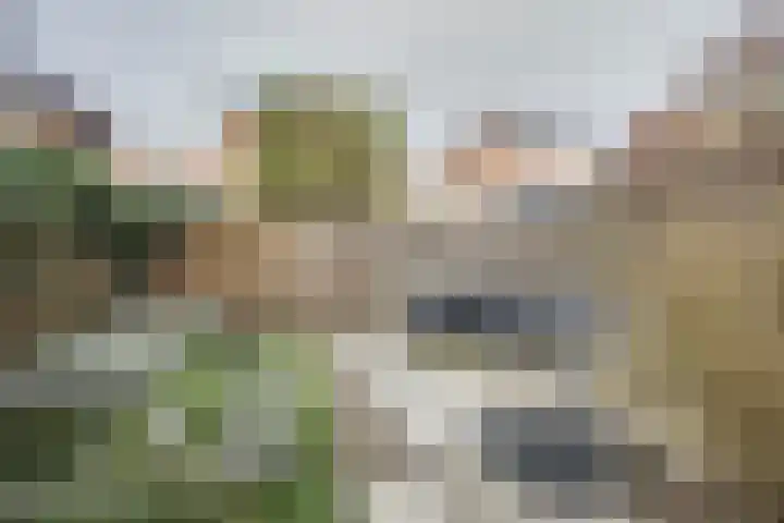 Truus Schröderhof 11 Voorburg thumbnail 19