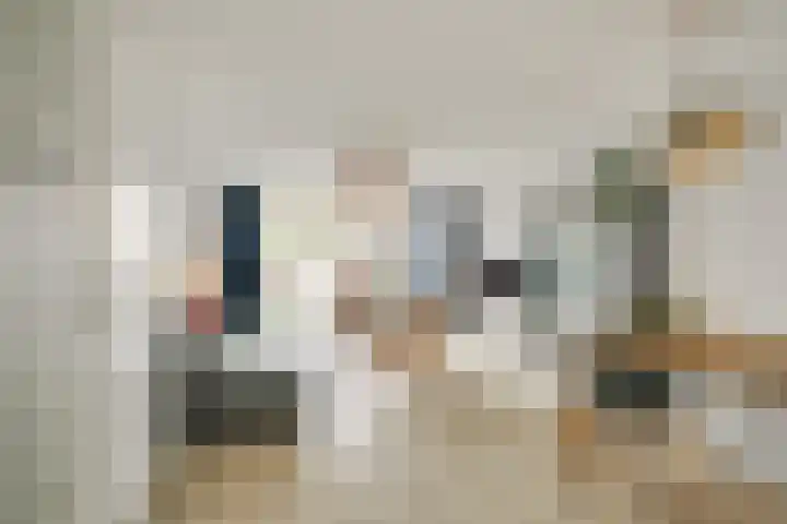 Truus Schröderhof 11 Voorburg foto 2