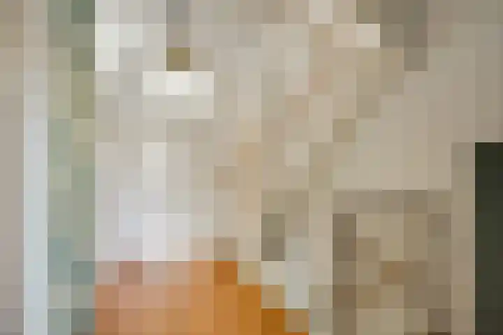 Truus Schröderhof 11 Voorburg thumbnail 21