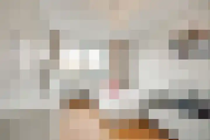 Truus Schröderhof 11 Voorburg thumbnail 23