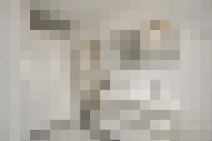 Truus Schröderhof 11 Voorburg thumbnail 30