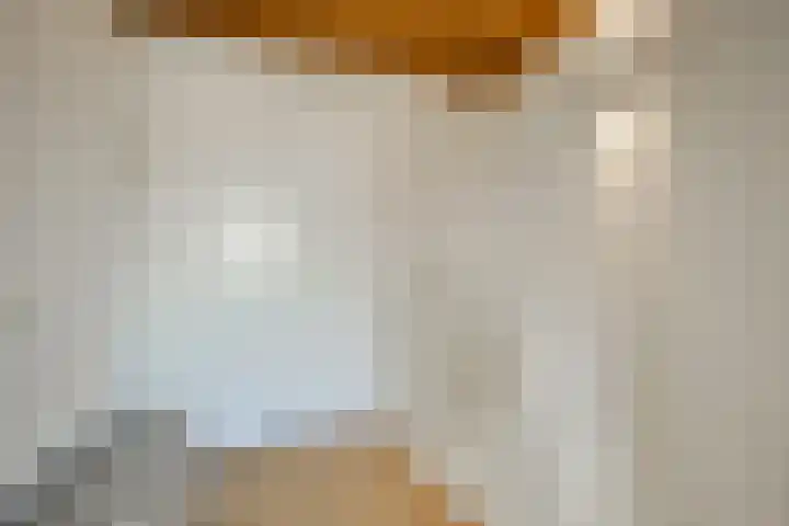 Truus Schröderhof 11 Voorburg thumbnail 31