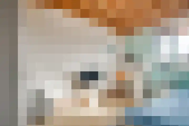 Truus Schröderhof 11 Voorburg thumbnail 32