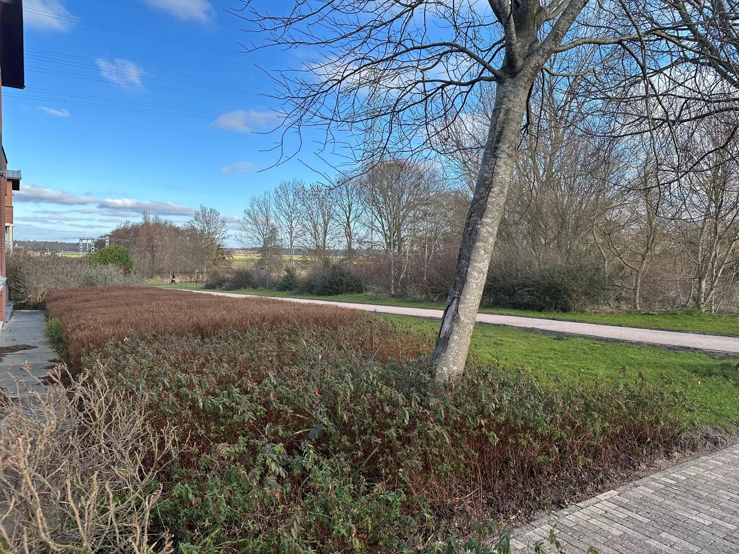 Truus Schröderhof 11 Voorburg thumbnail 44