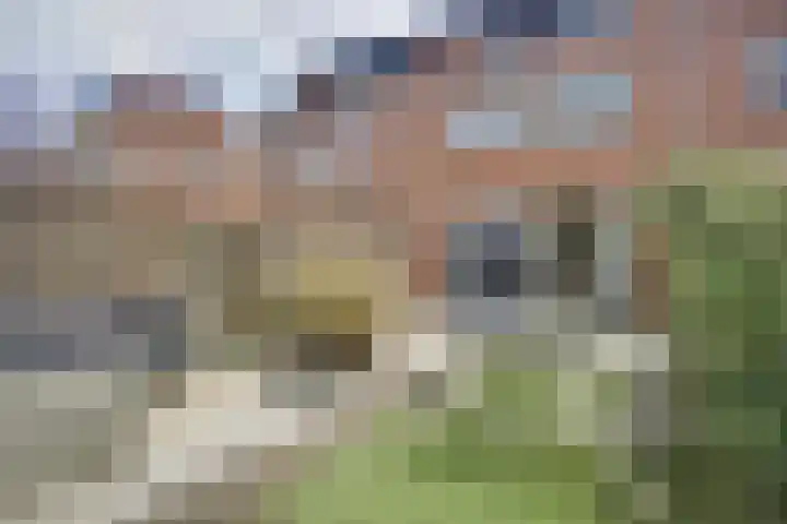 Truus Schröderhof 11 Voorburg thumbnail 5