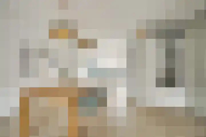 Truus Schröderhof 11 Voorburg thumbnail 8