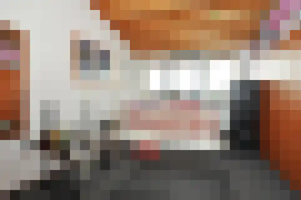 Truus Schröderhof 4 Voorburg thumbnail 12