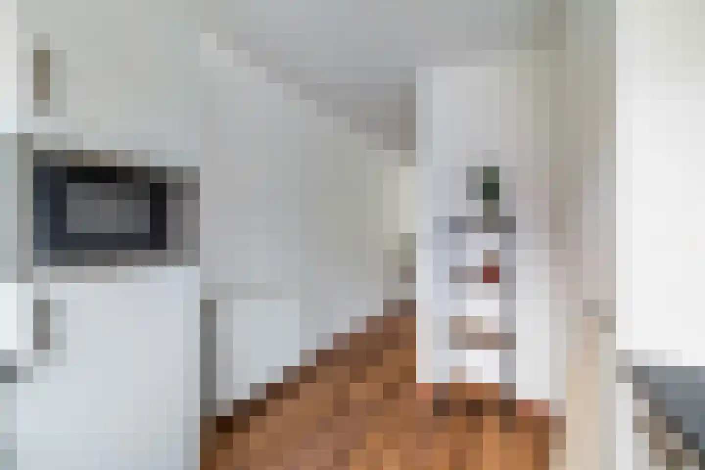Truus Schröderhof 4 Voorburg thumbnail 12